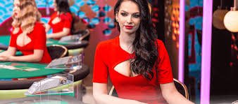 Pemain Indonesia menikmati sesi Live Casino rektoto lewat smartphone